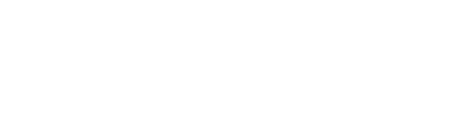 logo-alljet-horizontal.png